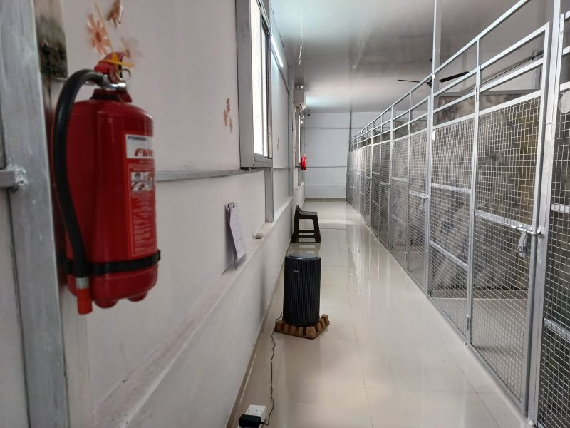Boarding rooms and passage at Gravity Pets Home