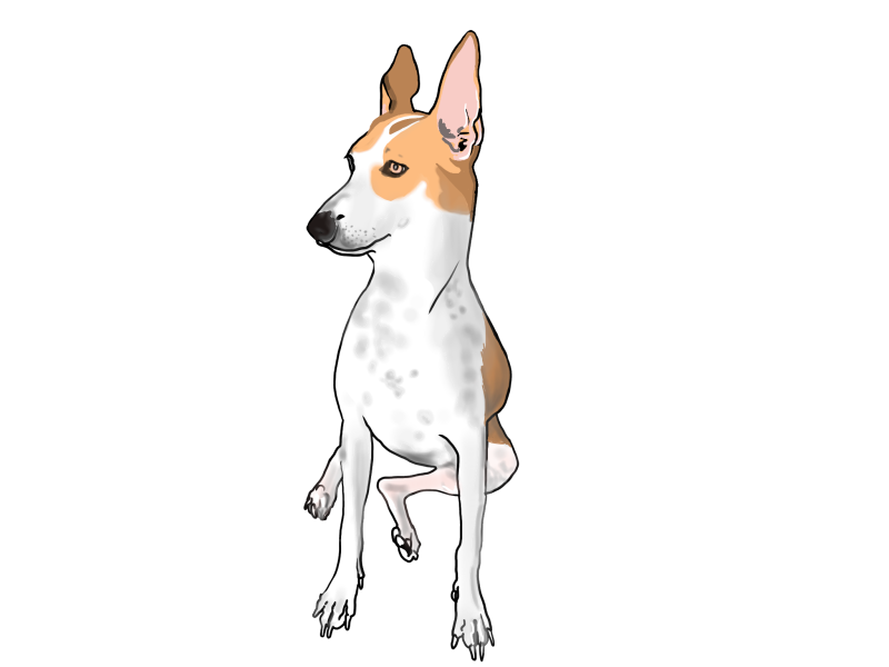 Digital painting portrait of a dog