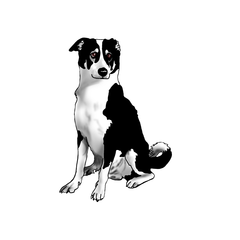 Digital painting portrait of a dog