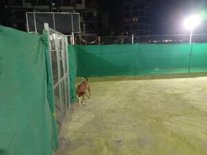 Pet Park by Gravity Pets Home img 4
