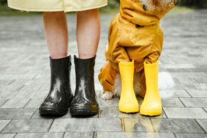 A person and a dog in rain boots, showcasing companionship on a rainy day.
