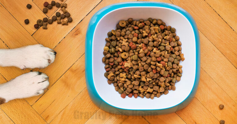 Read more about the article The Complete Guide to Pet Nutrition and Diet