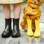 The Ultimate Monsoon Pet Care Guide for Indian Homes